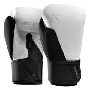 Boxing Gloves Hayabusa T360