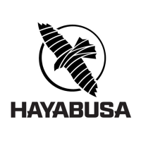 Hayabusa-900-679